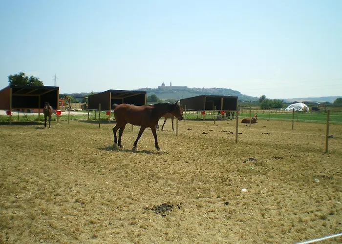 Conero Ranch